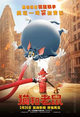 中文字幕视频二区
