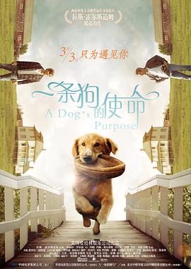 亚洲天堂网站在线观看视频