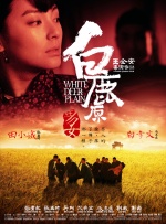 婷婷夜色