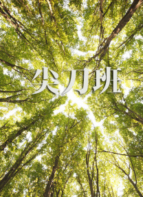 加勒比com